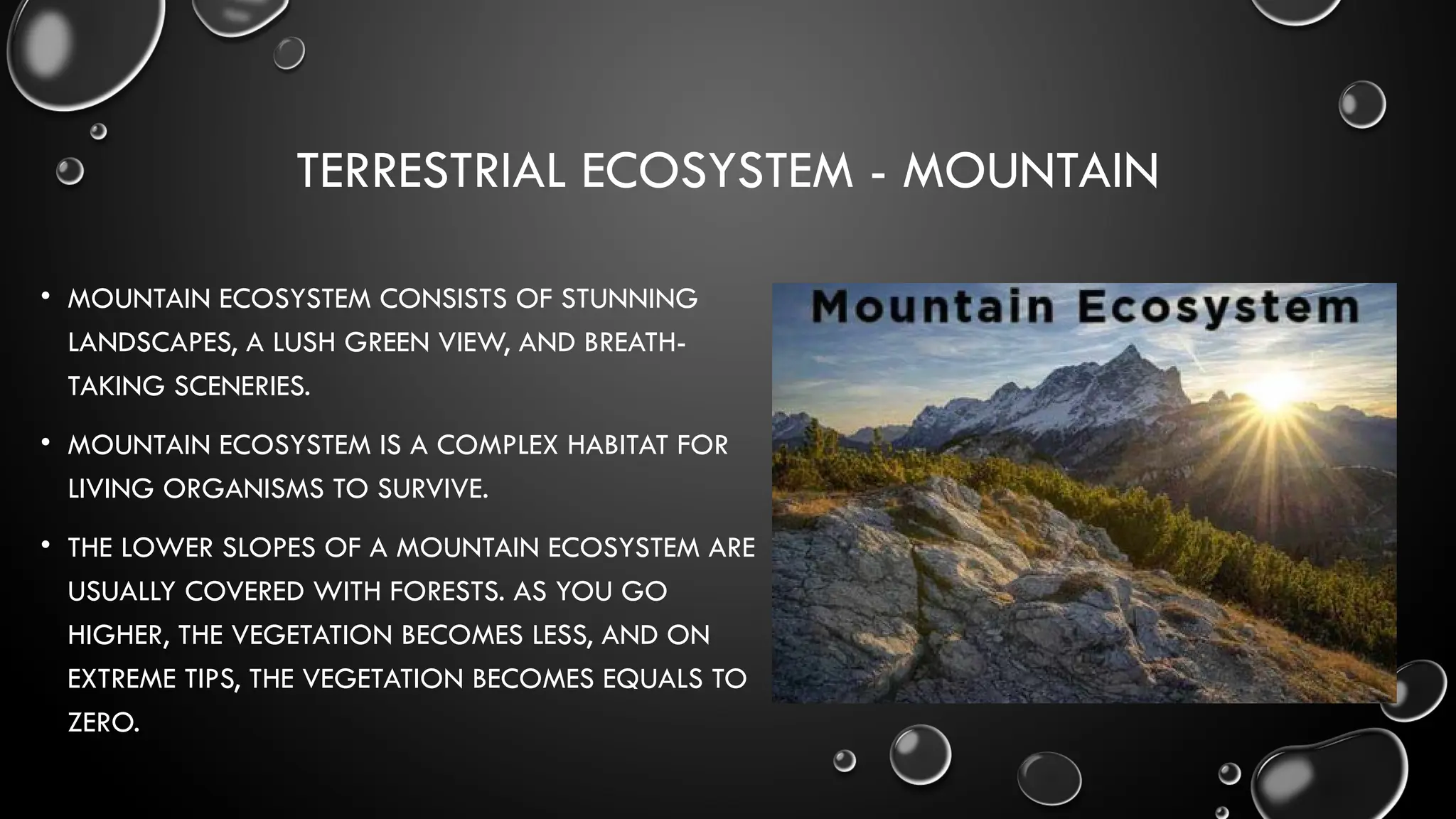 TERRESTRIAL ECOSYSTEM - MOUNTAIN
• MOUNTAIN ECOSYSTEM CONSISTS OF STUNNING
LANDSCAPES, A LUSH GREEN VIEW, AND BREATH-
TAKING SCENERIES.
• MOUNTAIN ECOSYSTEM IS A COMPLEX HABITAT FOR
LIVING ORGANISMS TO SURVIVE.
• THE LOWER SLOPES OF A MOUNTAIN ECOSYSTEM ARE
USUALLY COVERED WITH FORESTS. AS YOU GO
HIGHER, THE VEGETATION BECOMES LESS, AND ON
EXTREME TIPS, THE VEGETATION BECOMES EQUALS TO
ZERO.
 