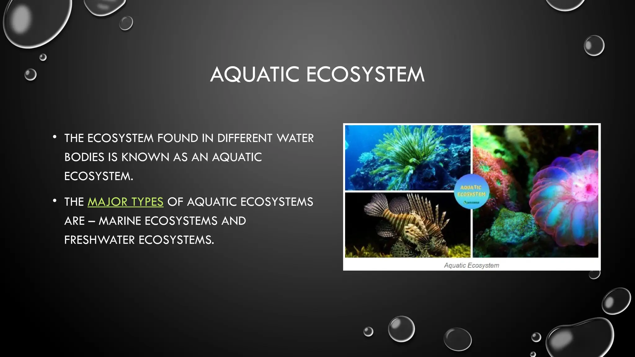 AQUATIC ECOSYSTEM
• THE ECOSYSTEM FOUND IN DIFFERENT WATER
BODIES IS KNOWN AS AN AQUATIC
ECOSYSTEM.
• THE MAJOR TYPES OF AQUATIC ECOSYSTEMS
ARE – MARINE ECOSYSTEMS AND
FRESHWATER ECOSYSTEMS.
 