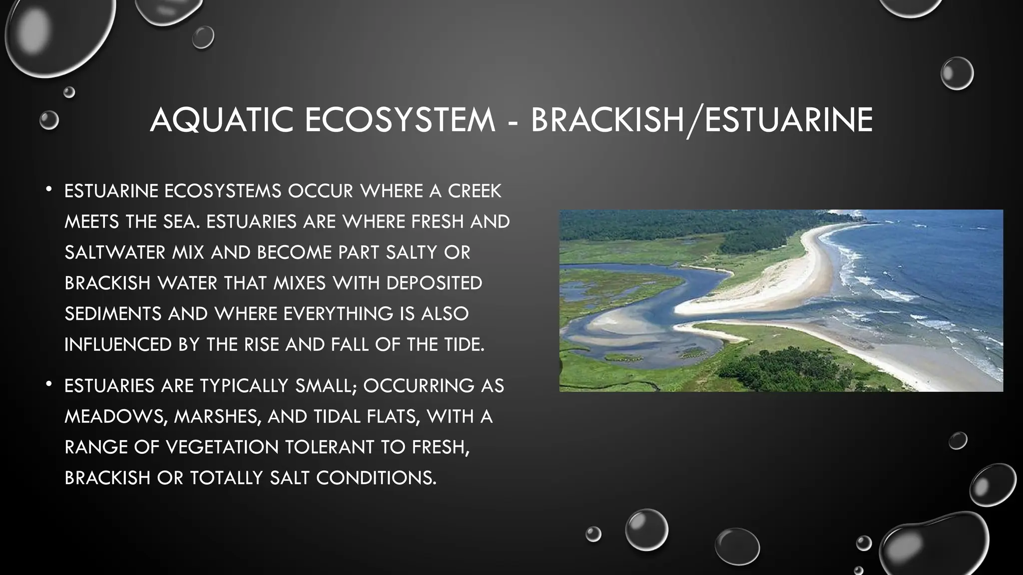 AQUATIC ECOSYSTEM - BRACKISH/ESTUARINE
• ESTUARINE ECOSYSTEMS OCCUR WHERE A CREEK
MEETS THE SEA. ESTUARIES ARE WHERE FRESH AND
SALTWATER MIX AND BECOME PART SALTY OR
BRACKISH WATER THAT MIXES WITH DEPOSITED
SEDIMENTS AND WHERE EVERYTHING IS ALSO
INFLUENCED BY THE RISE AND FALL OF THE TIDE.
• ESTUARIES ARE TYPICALLY SMALL; OCCURRING AS
MEADOWS, MARSHES, AND TIDAL FLATS, WITH A
RANGE OF VEGETATION TOLERANT TO FRESH,
BRACKISH OR TOTALLY SALT CONDITIONS.
 