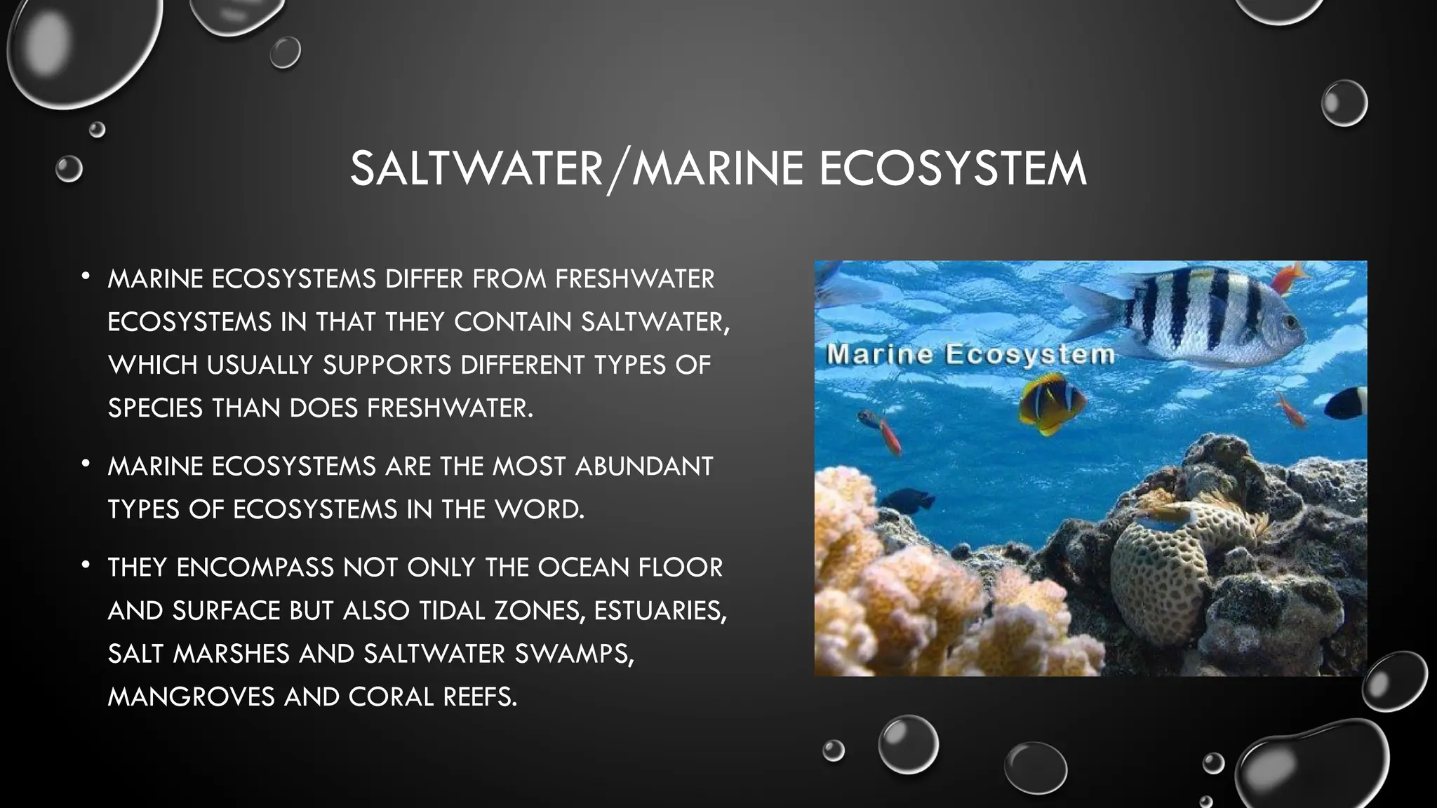 SALTWATER/MARINE ECOSYSTEM
• MARINE ECOSYSTEMS DIFFER FROM FRESHWATER
ECOSYSTEMS IN THAT THEY CONTAIN SALTWATER,
WHICH USUALLY SUPPORTS DIFFERENT TYPES OF
SPECIES THAN DOES FRESHWATER.
• MARINE ECOSYSTEMS ARE THE MOST ABUNDANT
TYPES OF ECOSYSTEMS IN THE WORD.
• THEY ENCOMPASS NOT ONLY THE OCEAN FLOOR
AND SURFACE BUT ALSO TIDAL ZONES, ESTUARIES,
SALT MARSHES AND SALTWATER SWAMPS,
MANGROVES AND CORAL REEFS.
 