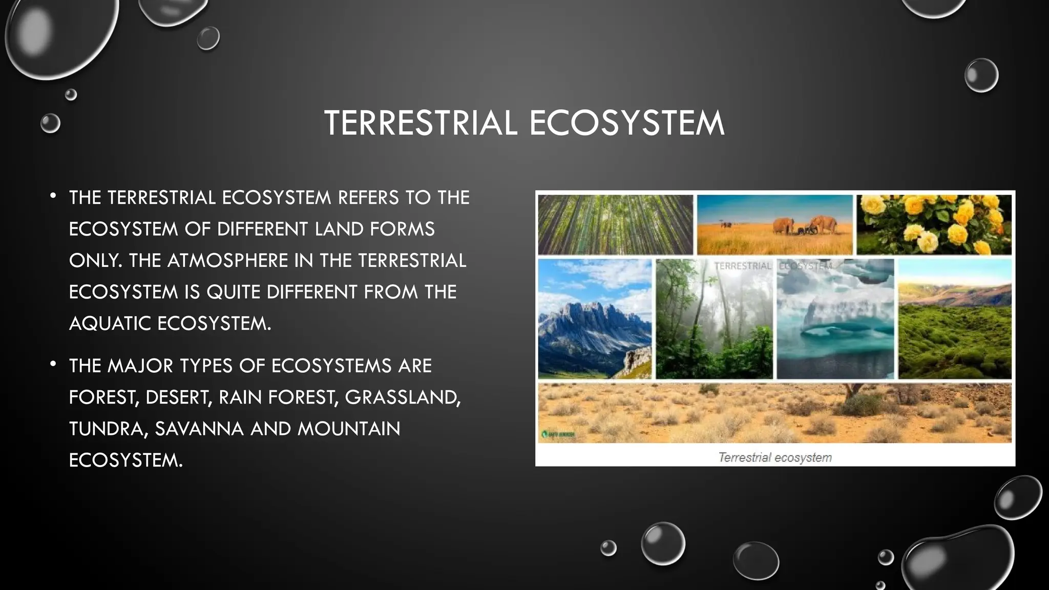 TERRESTRIAL ECOSYSTEM
• THE TERRESTRIAL ECOSYSTEM REFERS TO THE
ECOSYSTEM OF DIFFERENT LAND FORMS
ONLY. THE ATMOSPHERE IN THE TERRESTRIAL
ECOSYSTEM IS QUITE DIFFERENT FROM THE
AQUATIC ECOSYSTEM.
• THE MAJOR TYPES OF ECOSYSTEMS ARE
FOREST, DESERT, RAIN FOREST, GRASSLAND,
TUNDRA, SAVANNA AND MOUNTAIN
ECOSYSTEM.
 