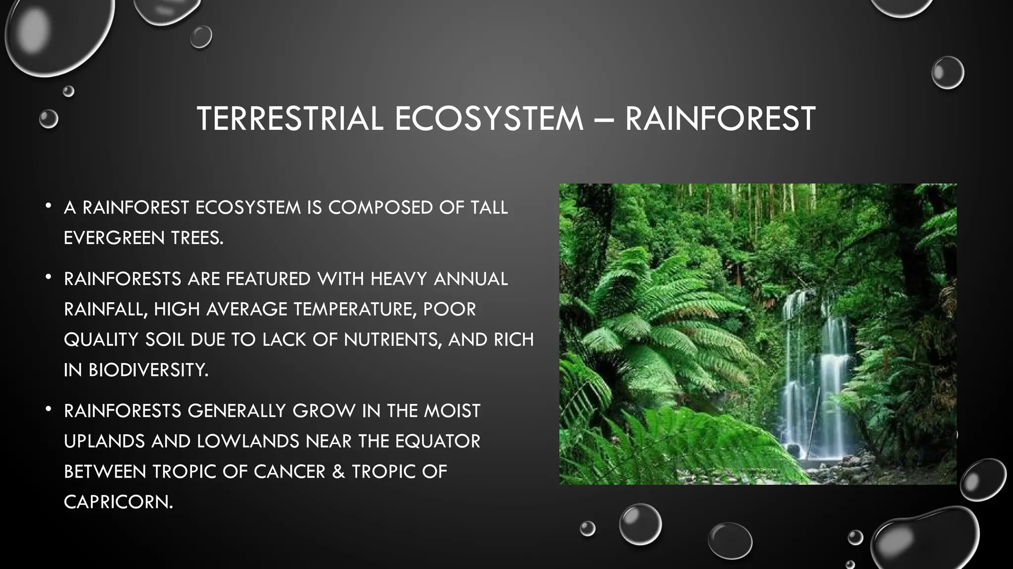 TERRESTRIAL ECOSYSTEM – RAINFOREST
• A RAINFOREST ECOSYSTEM IS COMPOSED OF TALL
EVERGREEN TREES.
• RAINFORESTS ARE FEATURED WITH HEAVY ANNUAL
RAINFALL, HIGH AVERAGE TEMPERATURE, POOR
QUALITY SOIL DUE TO LACK OF NUTRIENTS, AND RICH
IN BIODIVERSITY.
• RAINFORESTS GENERALLY GROW IN THE MOIST
UPLANDS AND LOWLANDS NEAR THE EQUATOR
BETWEEN TROPIC OF CANCER & TROPIC OF
CAPRICORN.
 