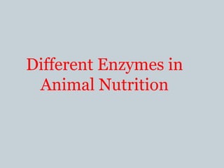 Different Enzymes in
Animal Nutrition
 