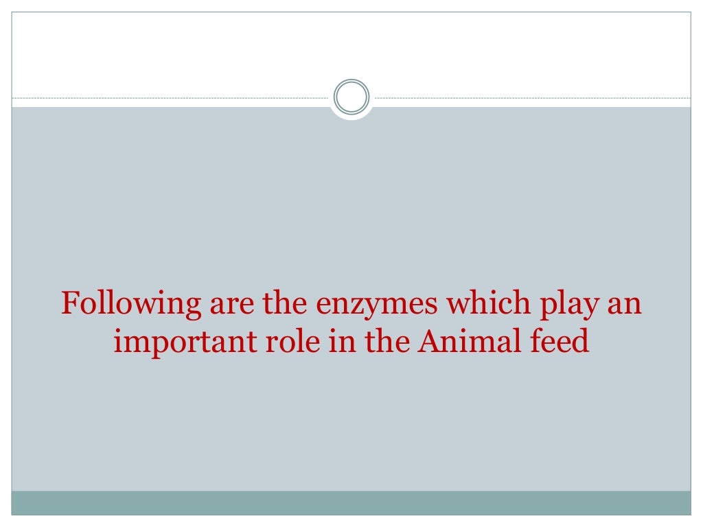 Different enzymes in animal nutrition