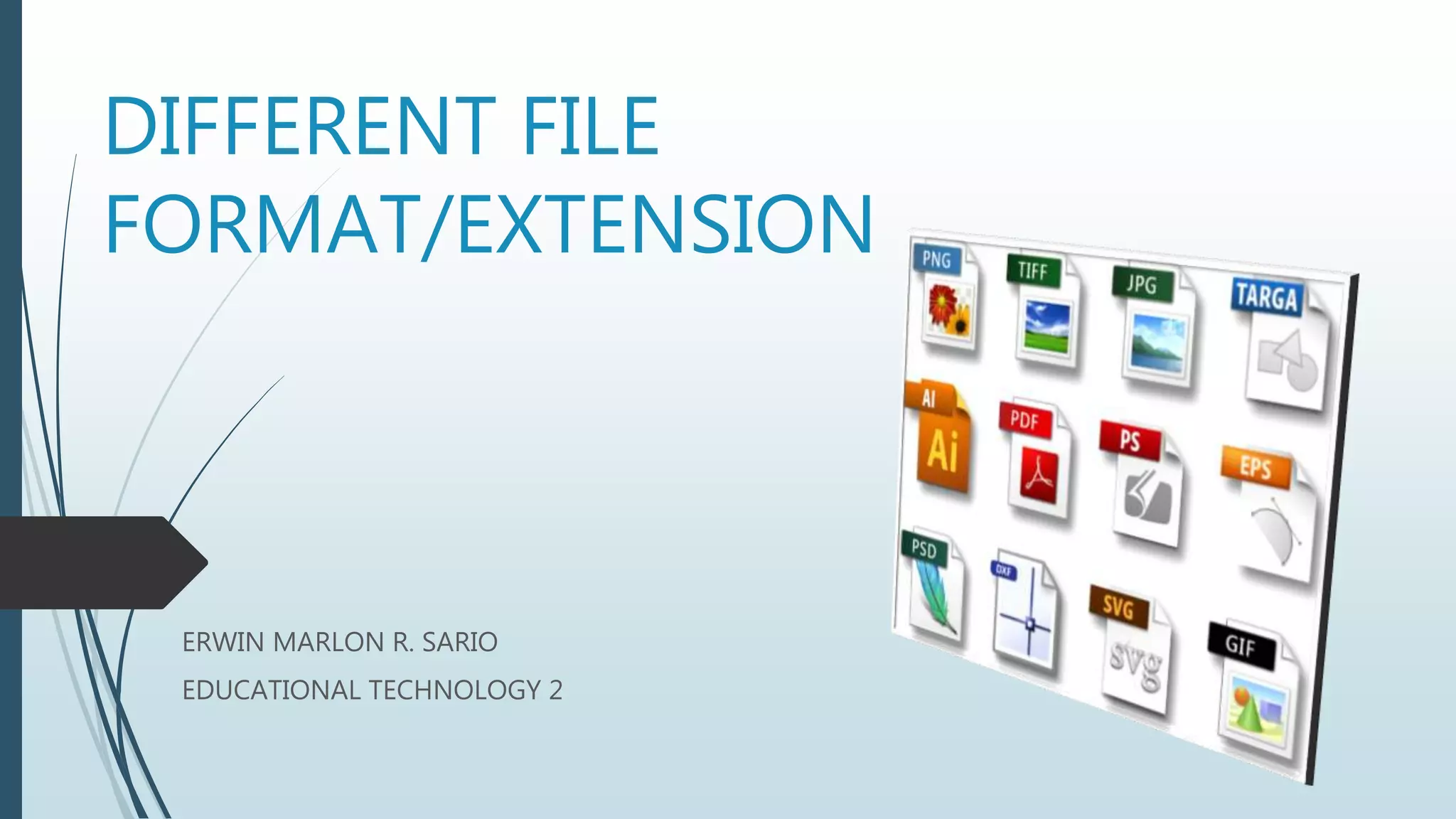 Computer File Format/Extension | PPT