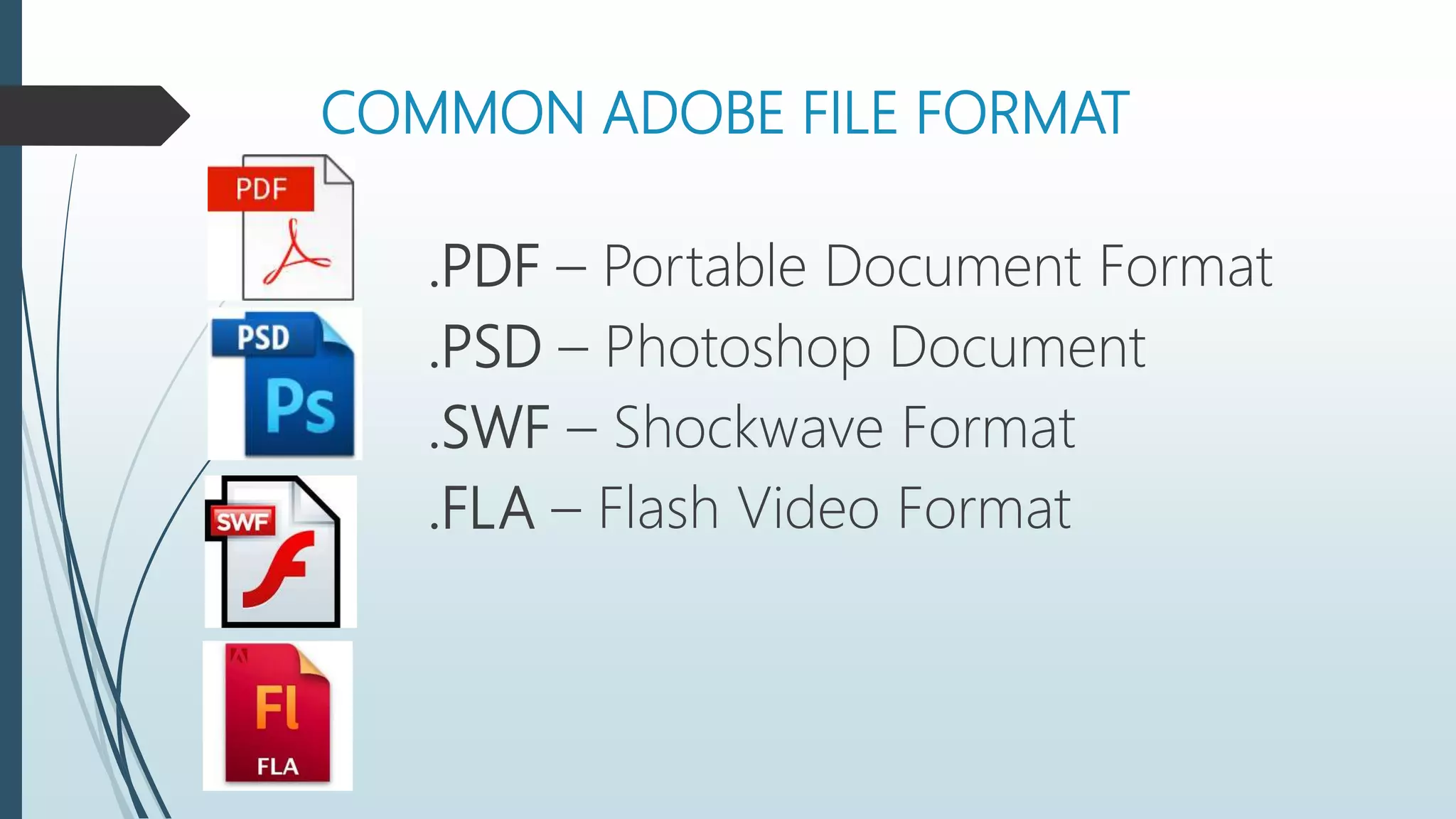 Computer File Format/Extension | PPT