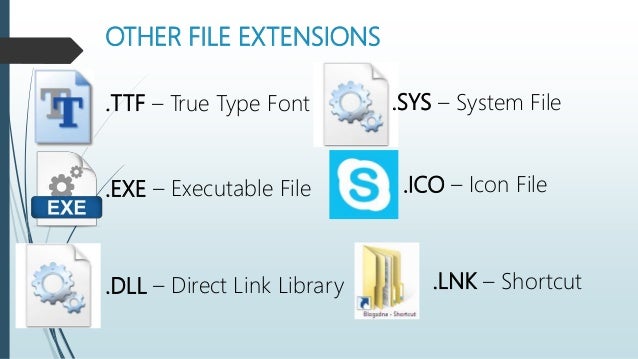 Computer File Format/Extension