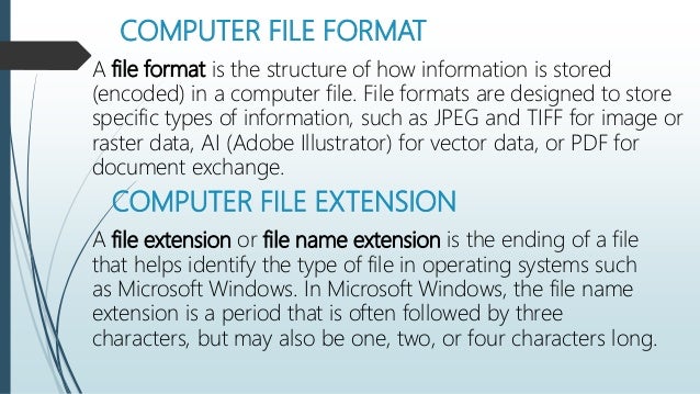 Computer File Format/Extension