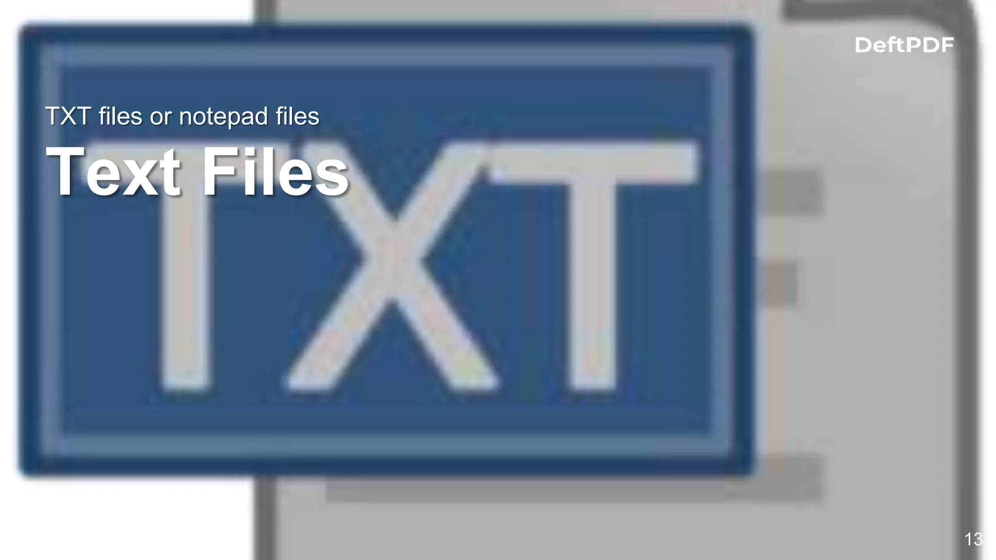 TXT files or notepad files
Text Files
13
 