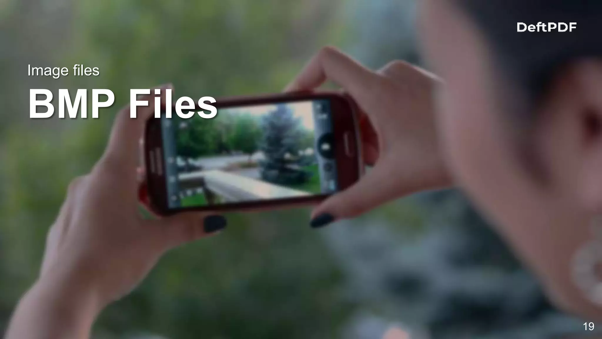 Image files
BMP Files
19
 