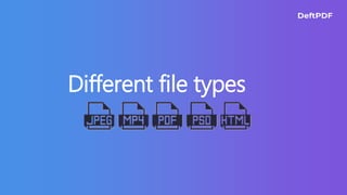 Different file types
 