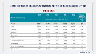 10
World Production of Major Aquaculture Species and Main Species Groups
FINFISH
Source: SOFIA
 