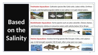 14
Based
on the
Salinity
Freshwater Aquaculture: Cultivates species like Catla catla, Labeo rohita, Cirrhinus
mrigala, and Ctenopharyngodon idella in non-saline (< 0.5 ppt) inland waters.
Brackishwater Aquaculture: Farms species such as Lates calcarifer, Chanos chanos,
and Oreochromis niloticus in estuarine waters with salinity below 10 to 30 ppt.
Marine Aquaculture: Involves farming species like Grouper, Cobia, and Lutjanus
spp. in full-strength seawater (30-35 ppt), often using open-sea cages.
 