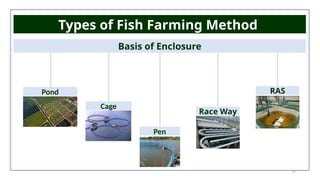 17
Types of Fish Farming Method
Basis of Enclosure
Pond
Cage
Pen
Race Way
RAS
 