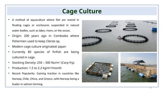 19
Cage Culture
• A method of aquaculture where fish are reared in
floating cages or enclosures suspended in natural
water bodies, such as lakes, rivers, or the ocean.
• Origin: 200 years ago in Combodia where
fishermen used to keep Clarias sp,
• Modern cage culture originated: Japan
• Currently 80 species of finfish are being
cultured in cage.
• Stocking Density: 250 – 300 No/m3
(Carp fry).
• Production: 1.5 to 2.2 kg/m3
/month
• Recent Popularity: Gaining traction in countries like
Norway, Chile, China, and Greece, with Norway being a
leader in salmon farming.
 