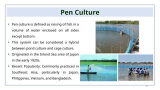 20
Pen Culture
• Pen culture is defined as raising of fish in a
volume of water enclosed on all sides
except bottom.
• This system can be considered a hybrid
between pond culture and cage culture.
• Originated in the Inland Sea area of Japan
in the early 1920s.
• Recent Popularity: Commonly practiced in
Southeast Asia, particularly in Japan,
Philippines, Vietnam, and Bangladesh.
 