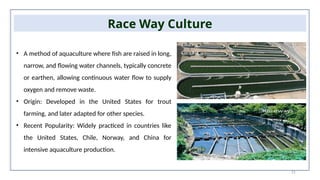 21
Race Way Culture
• A method of aquaculture where fish are raised in long,
narrow, and flowing water channels, typically concrete
or earthen, allowing continuous water flow to supply
oxygen and remove waste.
• Origin: Developed in the United States for trout
farming, and later adapted for other species.
• Recent Popularity: Widely practiced in countries like
the United States, Chile, Norway, and China for
intensive aquaculture production.
 