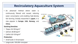22
Recirculatory Aquaculture System
• An advanced method where water is
continuously filtered and reused, reducing
water consumption and enabling high-density
fish farming. Initially researched in Japan, it is
now popular in Europe, USA, Norway, and
China.
Stocking Densities:
• Tilapia: 50-100 kg/m³
• Salmon: 40-80 kg/m³
• Catfish: 60-120 kg/m³
Production:
• Small-scale: 5-10 tons/year
• Large-scale: 100-200+ tons/year
 