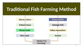 28
Traditional Fish Farming Method
Bheries Culture
Pokkali Culture
Khazan Lands
Khar Lands
Ghery Fields
Sewage Fed
Valleys Aquaculture
Tambak
Classic Fry
Farming
 