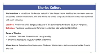 29
Bheries Culture
Bheries Culture is a traditional fish farming method in West Bengal, where low-lying brackish water areas are
enclosed by earthen embankments. Fish and shrimp are farmed using natural estuarine water, often combined
with paddy cultivation.
Location: Practiced in West Bengal, particularly in the Sunderbans (North and South 24 Parganas).
Definition: Traditional brackish water fisheries in embanked tidal wetlands (32,930 ha).
Types of Bheries:
• Seasonal: Combines fish/shrimp and paddy farming.
• Perennial: Year-round polyculture of fish and shrimp.
Water Source: Estuaries of the Saptamukhi, Thakuran, Matlah rivers, and minor estuaries like Gosaba
and Kulti.
 