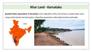 34
Khar Land - Karnataka
Brackish Water Aquaculture in Karnataka is the cultivation of fish and shrimp in coastal saline areas
using earthen bunds and sluice gates, integrating aquaculture with paddy farming sustainably.
 