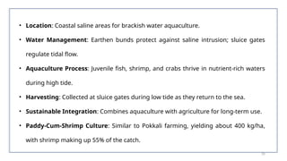35
• Location: Coastal saline areas for brackish water aquaculture.
• Water Management: Earthen bunds protect against saline intrusion; sluice gates
regulate tidal flow.
• Aquaculture Process: Juvenile fish, shrimp, and crabs thrive in nutrient-rich waters
during high tide.
• Harvesting: Collected at sluice gates during low tide as they return to the sea.
• Sustainable Integration: Combines aquaculture with agriculture for long-term use.
• Paddy-Cum-Shrimp Culture: Similar to Pokkali farming, yielding about 400 kg/ha,
with shrimp making up 55% of the catch.
 