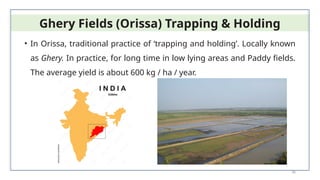 36
• In Orissa, traditional practice of ‘trapping and holding’. Locally known
as Ghery. In practice, for long time in low lying areas and Paddy fields.
The average yield is about 600 kg / ha / year.
Ghery Fields (Orissa) Trapping & Holding
 