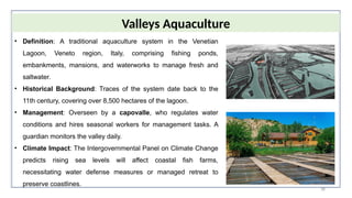 38
• Definition: A traditional aquaculture system in the Venetian
Lagoon, Veneto region, Italy, comprising fishing ponds,
embankments, mansions, and waterworks to manage fresh and
saltwater.
• Historical Background: Traces of the system date back to the
11th century, covering over 8,500 hectares of the lagoon.
• Management: Overseen by a capovalle, who regulates water
conditions and hires seasonal workers for management tasks. A
guardian monitors the valley daily.
• Climate Impact: The Intergovernmental Panel on Climate Change
predicts rising sea levels will affect coastal fish farms,
necessitating water defense measures or managed retreat to
preserve coastlines.
Valleys Aquaculture
 