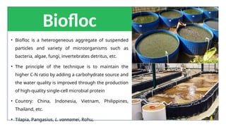 43
• Biofloc is a heterogeneous aggregate of suspended
particles and variety of microorganisms such as
bacteria, algae, fungi, invertebrates detritus, etc.
• The principle of the technique is to maintain the
higher C-N ratio by adding a carbohydrate source and
the water quality is improved through the production
of high-quality single-cell microbial protein
• Country: China, Indonesia, Vietnam, Philippines,
Thailand, etc.
• Tilapia, Pangasius, L. vannamei, Rohu,
Biofloc
 