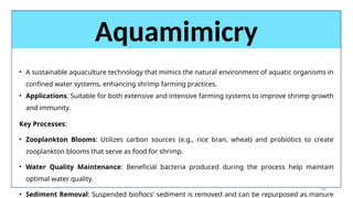 44
• A sustainable aquaculture technology that mimics the natural environment of aquatic organisms in
confined water systems, enhancing shrimp farming practices.
• Applications: Suitable for both extensive and intensive farming systems to improve shrimp growth
and immunity.
Key Processes:
• Zooplankton Blooms: Utilizes carbon sources (e.g., rice bran, wheat) and probiotics to create
zooplankton blooms that serve as food for shrimp.
• Water Quality Maintenance: Beneficial bacteria produced during the process help maintain
optimal water quality.
• Sediment Removal: Suspended bioflocs' sediment is removed and can be repurposed as manure
Aquamimicry
 