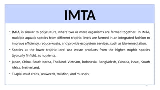 46
• IMTA, is similar to polyculture, where two or more organisms are farmed together. In IMTA,
multiple aquatic species from different trophic levels are farmed in an integrated fashion to
improve efficiency, reduce waste, and provide ecosystem services, such as bio-remediation.
• Species at the lower trophic level use waste products from the higher trophic species
(typically finfish), as nutrients.
• Japan, China, South Korea, Thailand, Vietnam, Indonesia, Bangladesh, Canada, Israel, South
Africa, Netherland.
• Tilapia, mud crabs, seaweeds, milkfish, and mussels
IMTA
 