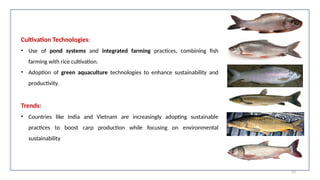 Cultivation Technologies:
• Use of pond systems and integrated farming practices, combining fish
farming with rice cultivation.
• Adoption of green aquaculture technologies to enhance sustainability and
productivity.
Trends:
• Countries like India and Vietnam are increasingly adopting sustainable
practices to boost carp production while focusing on environmental
sustainability
53
 