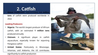 2. Catfish
• Global Production: Approximately 6.6 million
tons of catfish were produced worldwide in
2022​
Leading Producers:
• Nigeria: The world's largest producer of African
catfish, with an estimated 1 million tons
produced annually​
• Vietnam: A significant player in catfish
aquaculture, especially known for exporting
Pangasius catfish​
• United States: Particularly in Mississippi,
Arkansas, and Alabama, the US contributes
significantly to catfish production​
54
 
