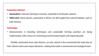 Production Method:
• Aquaculture: Intensive farming is common, especially in freshwater systems.
• Wild Catch: Many species, particularly in Africa, are still caught from natural habitats, such as
Lake Victoria.
Technology:
• Advancements in breeding techniques and sustainable farming practices are being
implemented, with a focus on minimizing environmental impact and improving yield.
Cichlids, particularly from Lake Victoria, are also valued in the ornamental fish trade due to
their vibrant colors and unique behaviors, making them both a commercial and ecological asset
57
 