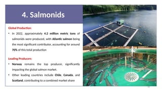 4. Salmonids
Global Production:
• In 2022, approximately 4.2 million metric tons of
salmonids were produced, with Atlantic salmon being
the most significant contributor, accounting for around
70% of this total production​
Leading Producers:
• Norway remains the top producer, significantly
impacting the global salmon market.
• Other leading countries include Chile, Canada, and
Scotland, contributing to a combined market share​
58
 