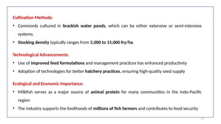 Cultivation Methods:
• Commonly cultured in brackish water ponds, which can be either extensive or semi-intensive
systems.
• Stocking density typically ranges from 5,000 to 15,000 fry/ha
Technological Advancements:
• Use of improved feed formulations and management practices has enhanced productivity​
• Adoption of technologies for better hatchery practices, ensuring high-quality seed supply​
Ecological and Economic Importance:
• Milkfish serves as a major source of animal protein for many communities in the Indo-Pacific
region​
• The industry supports the livelihoods of millions of fish farmers and contributes to food security​
61
 
