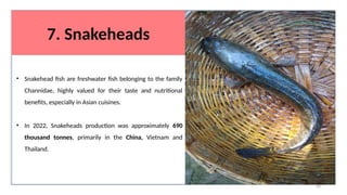 7. Snakeheads
• Snakehead fish are freshwater fish belonging to the family
Channidae, highly valued for their taste and nutritional
benefits, especially in Asian cuisines.
• In 2022, Snakeheads production was approximately 690
thousand tonnes, primarily in the China, Vietnam and
Thailand.
64
 