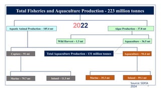 Total Fisheries and Aquaculture Production - 223 million tonnes
Aquatic Animal Production – 185.4 mt Algae Production – 37.8 mt
Capture – 91 mt
Marine – 79.7 mt
Aquaculture – 94.4 mt
Wild Harvest – 1.3 mt Aquaculture – 36.5 mt
Inland – 11.3 mt Inland – 59.1 mt
Marine – 35.3 mt
Total Aquaculture Production - 131 million tonnes
Source: SOFIA
2024 8
2022
 