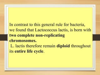 In contrast to this general rule for bacteria,
we found that Lactococcus lactis, is born with
two complete non-replicating
chromosomes.
L. lactis therefore remain diploid throughout
its entire life cycle.
 