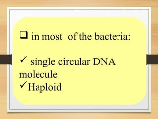  in most of the bacteria:
 single circular DNA
molecule
Haploid
 