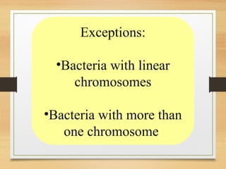 Exceptions:
•Bacteria with linear
chromosomes
•Bacteria with more than
one chromosome
 