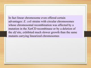 In fact linear chromosome even offered certain
advantages: E. coli strains with circular chromosomes
whose chromosomal recombination was affected by a
mutation in the XerCD recombinase or by a deletion of
the dif site, exhibited much slower growth than the same
mutants carrying linearized chromosomes
 