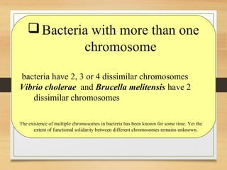 Bacteria with more than one
chromosome
bacteria have 2, 3 or 4 dissimilar chromosomes
Vibrio cholerae and Brucella melitensis have 2
dissimilar chromosomes
The existence of multiple chromosomes in bacteria has been known for some time. Yet the
extent of functional solidarity between different chromosomes remains unknown.
 