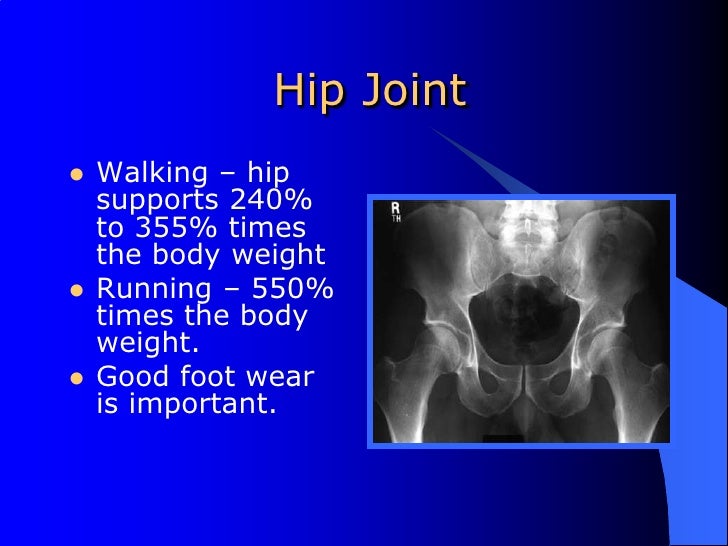 Differential Diagnosis Of The Hip2010