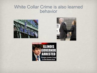 White Collar Crime is also learned
behavior
 