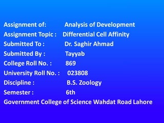 Assignment of: Analysis of Development
Assignment Topic : Differential Cell Affinity
Submitted To : Dr. Saghir Ahmad
Submitted By : Tayyab
College Roll No. : 869
University Roll No. : 023808
Discipline : B.S. Zoology
Semester : 6th
Government College of Science Wahdat Road Lahore
 
