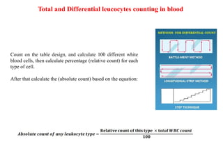differential counting of brain and brain. | PPT