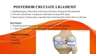 Differential Diagnosis and Special Tests for Knee Joint Injuries | PPTX