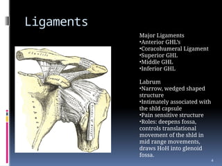Mid Labrum Differential diagnosis of shoulder region-1.pptx