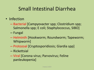 Small Intestinal Diarrhea
• Infection
– Bacterial [Campyovacter spp; Clostridium spp;
Salmonella spp; E coli; Staphylococcus, SIBO]
– Fungal
– Helminth [Hookworm; Roundworm; Tapeworm;
Whipworm]
– Protozoal [Cryptosporidiosis; Giardia spp]
– Rickettsial
– Viral [Corona virus; Parvovirus; Feline
panleukopenia]
triakoso 2014

 